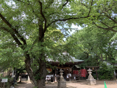 新緑の敷島神社